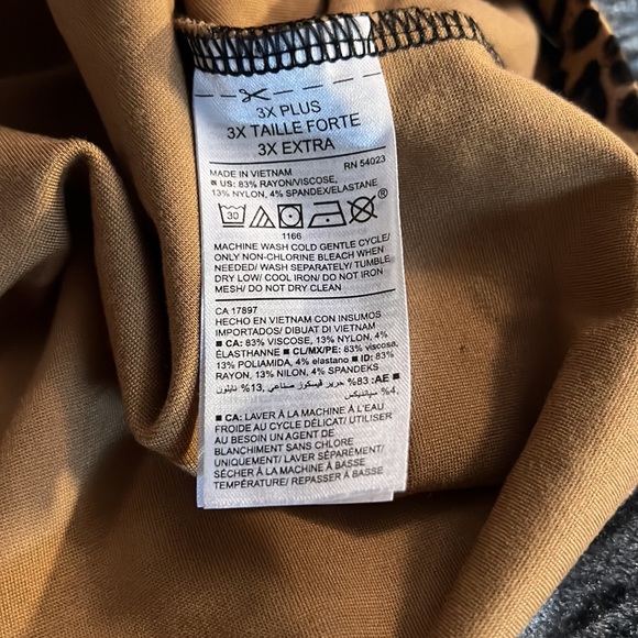 Here, kitty kitty! - Picture 5 of 5